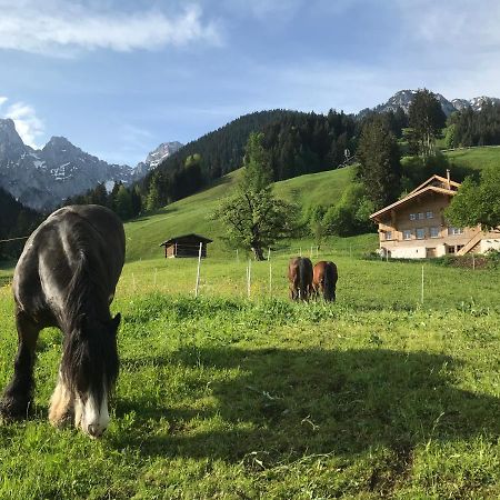 Bed and Breakfast Au Pre Des Chevaux Шато-д'Э Экстерьер фото