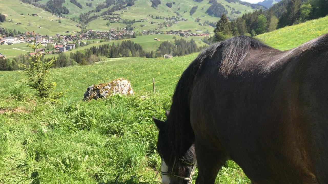 Bed and Breakfast Au Pre Des Chevaux Шато-д'Э Экстерьер фото