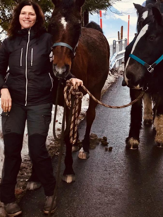 Bed and Breakfast Au Pre Des Chevaux Шато-д'Э Экстерьер фото