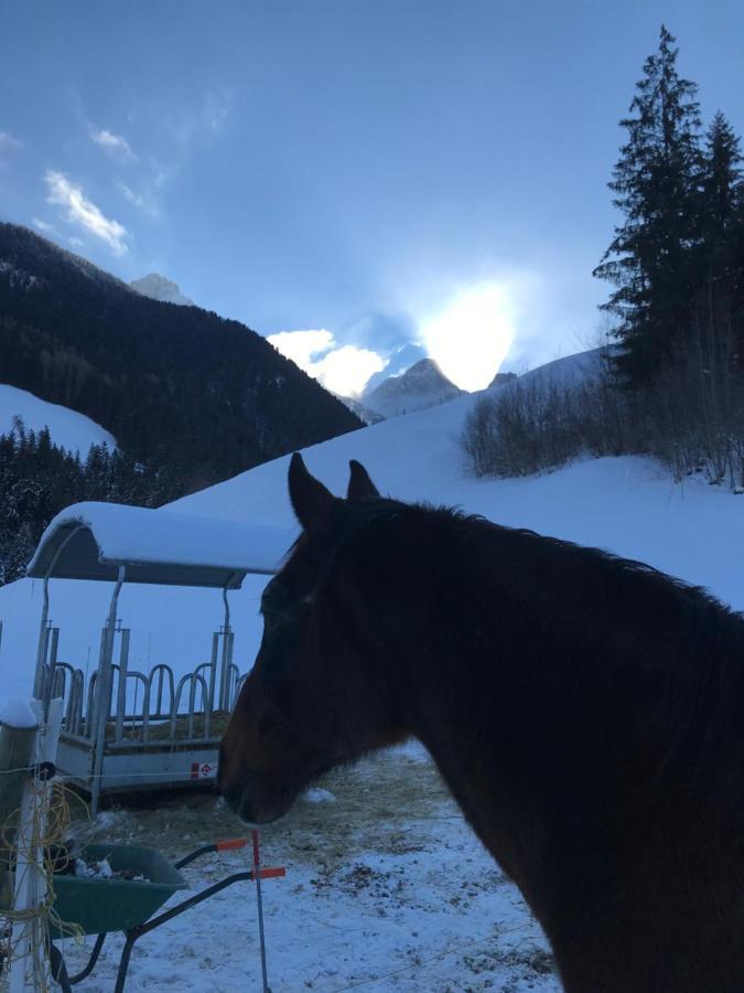 Bed and Breakfast Au Pre Des Chevaux Шато-д'Э Экстерьер фото