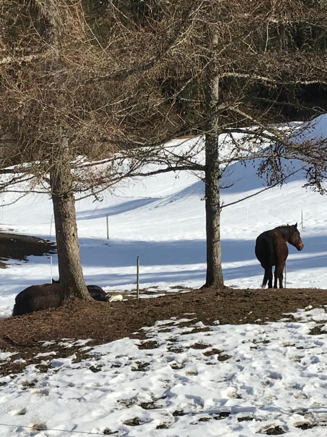 Bed and Breakfast Au Pre Des Chevaux Шато-д'Э Экстерьер фото