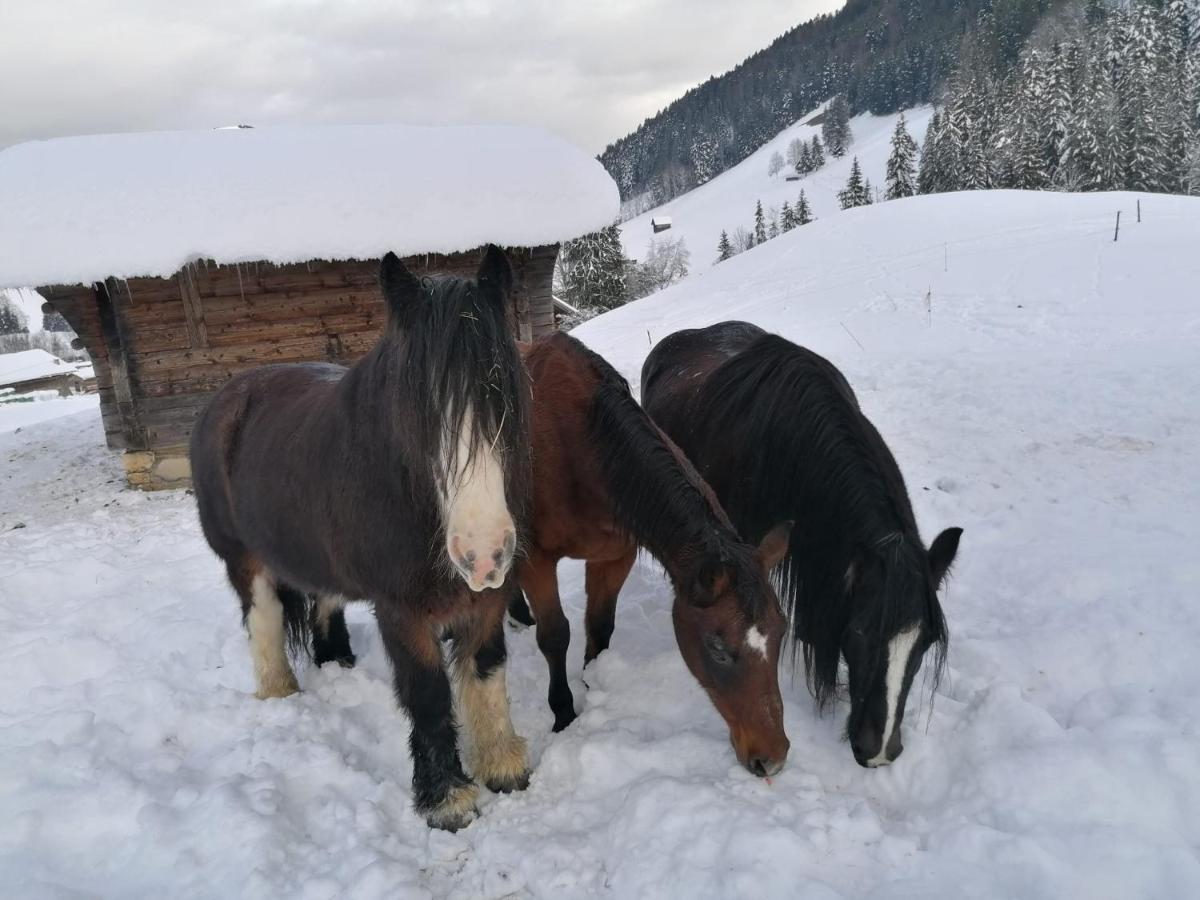 Bed and Breakfast Au Pre Des Chevaux Шато-д'Э Экстерьер фото