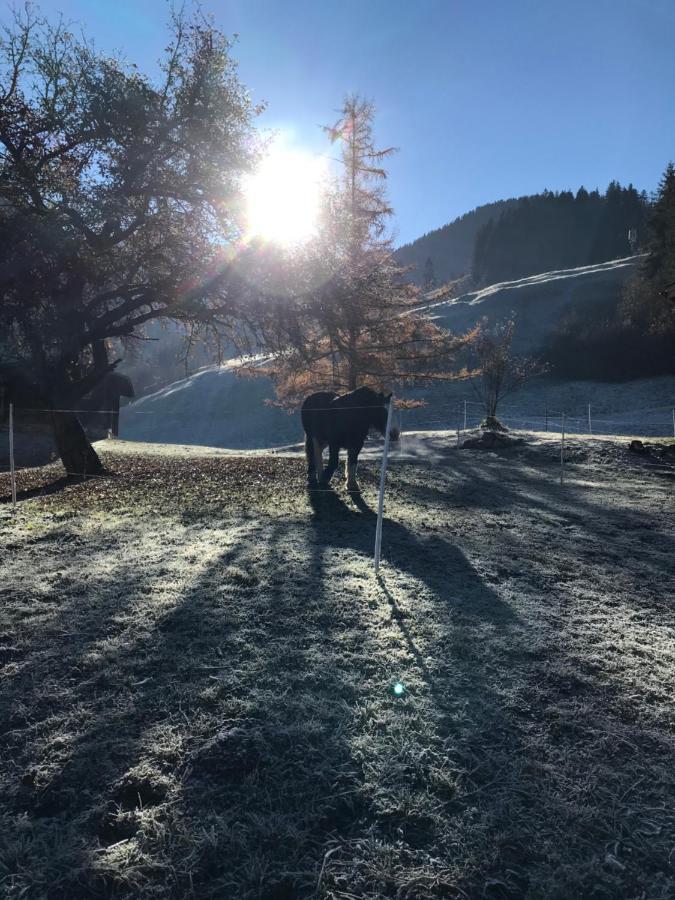 Bed and Breakfast Au Pre Des Chevaux Шато-д'Э Экстерьер фото