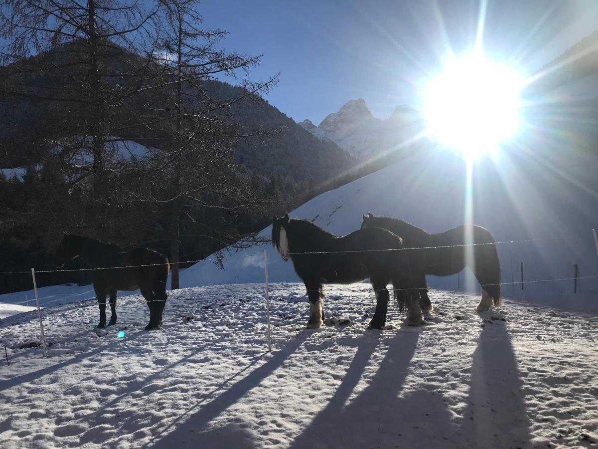 Bed and Breakfast Au Pre Des Chevaux Шато-д'Э Экстерьер фото