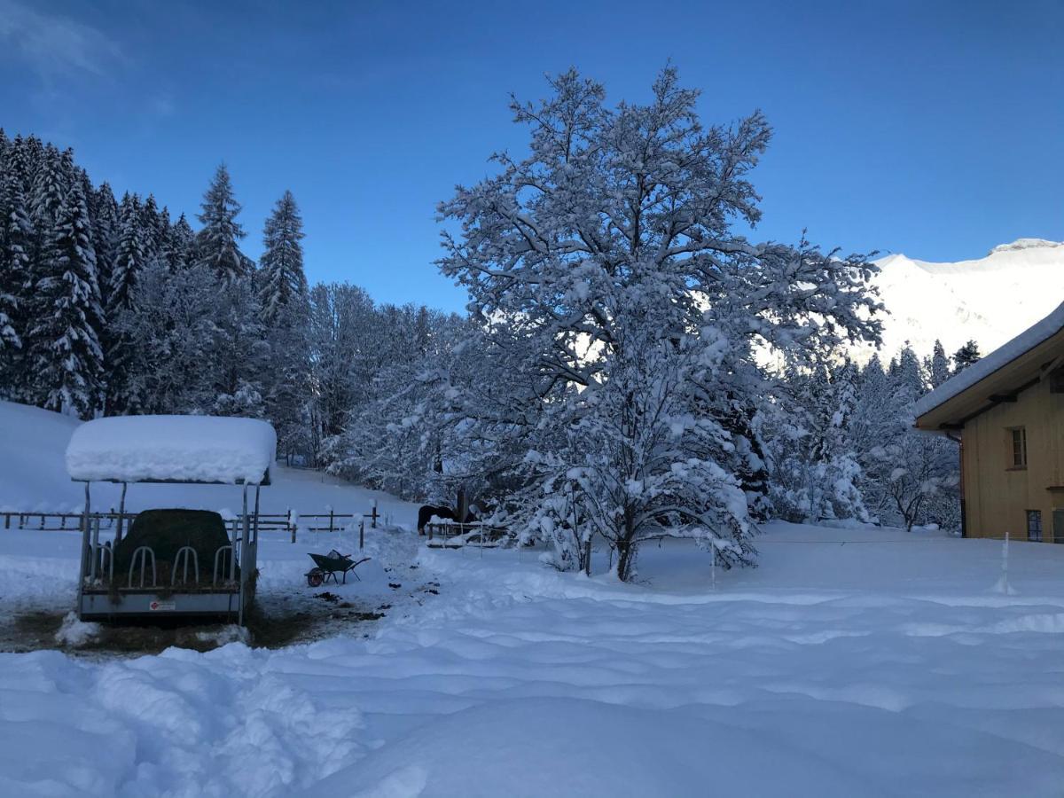 Bed and Breakfast Au Pre Des Chevaux Шато-д'Э Экстерьер фото
