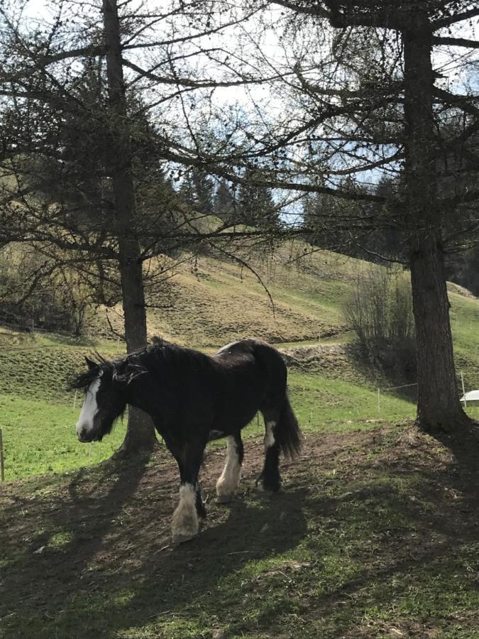 Bed and Breakfast Au Pre Des Chevaux Шато-д'Э Экстерьер фото