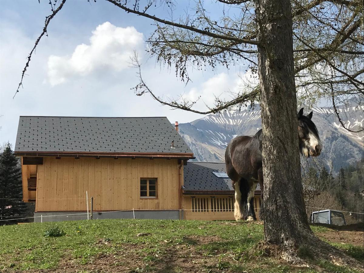 Bed and Breakfast Au Pre Des Chevaux Шато-д'Э Экстерьер фото